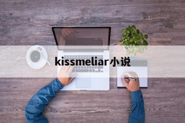 kissmeliar小说(kiss me liar 作者zig)